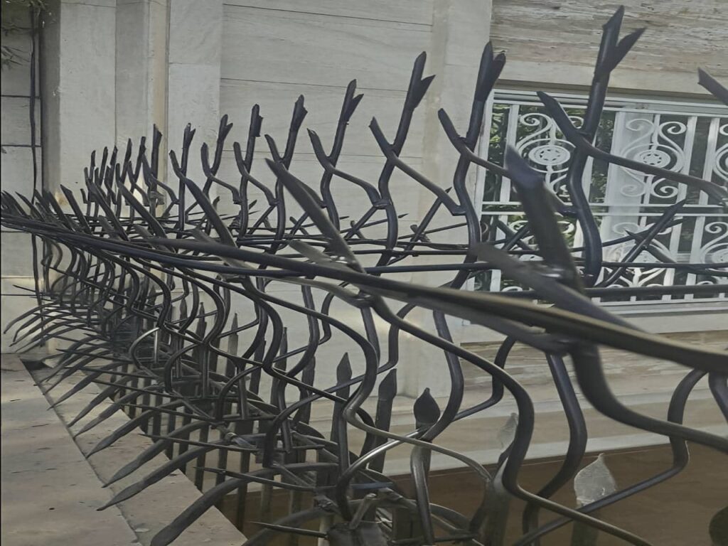 حفاظ شاخ گوزنی حفاظ شاخ گوزنی