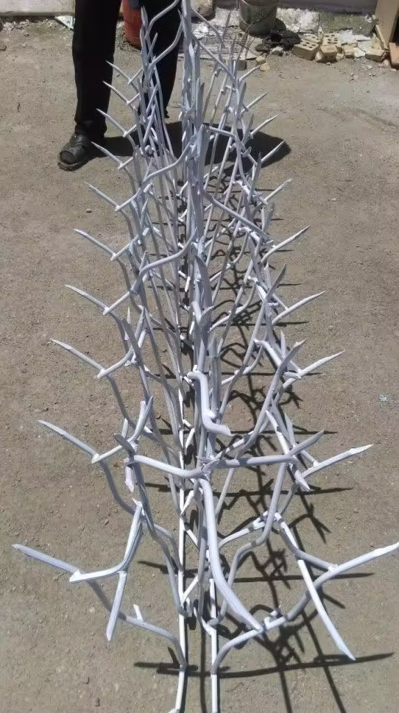 مزایا و معایب حفاظ شاخ گوزنی مزایا و معایب حفاظ شاخ گوزنی