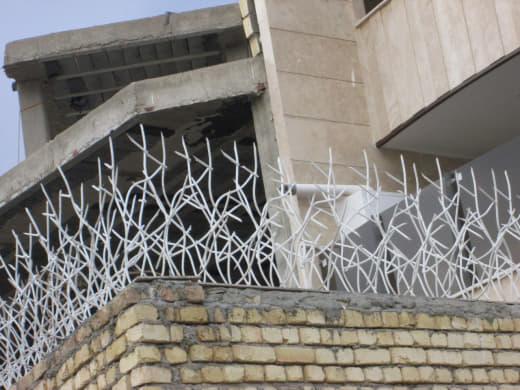 حفاظ شاخ گوزنی در برابر شرایط جوی حفاظ شاخ گوزنی در برابر شرایط جوی