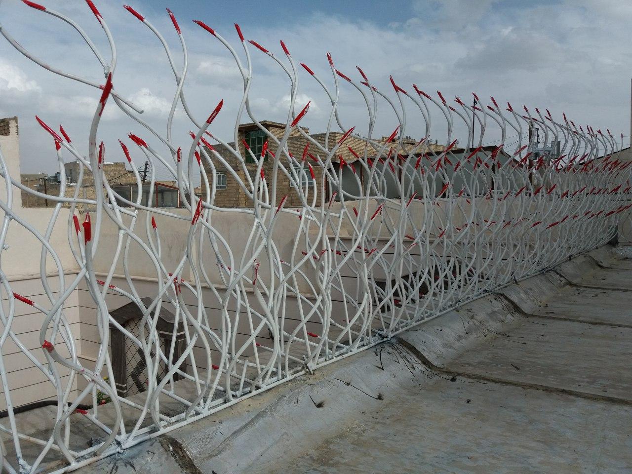 شاخک های تیز حفاظ شاخ گوزنی شاخک های تیز حفاظ شاخ گوزنی