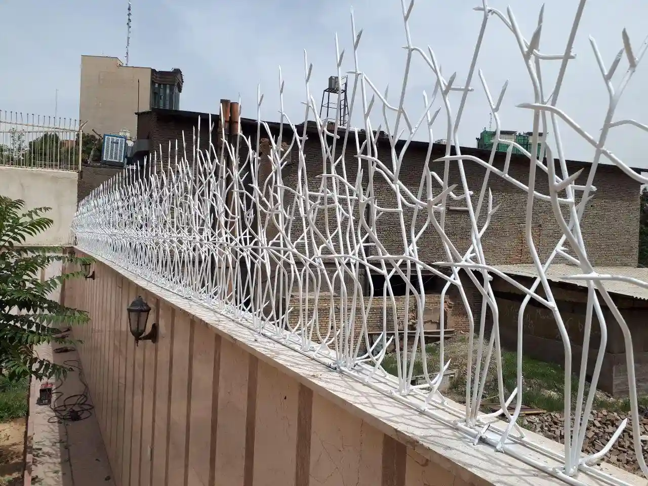 خرید حفاظ شاخ گوزنی دیوار خرید حفاظ شاخ گوزنی دیوار