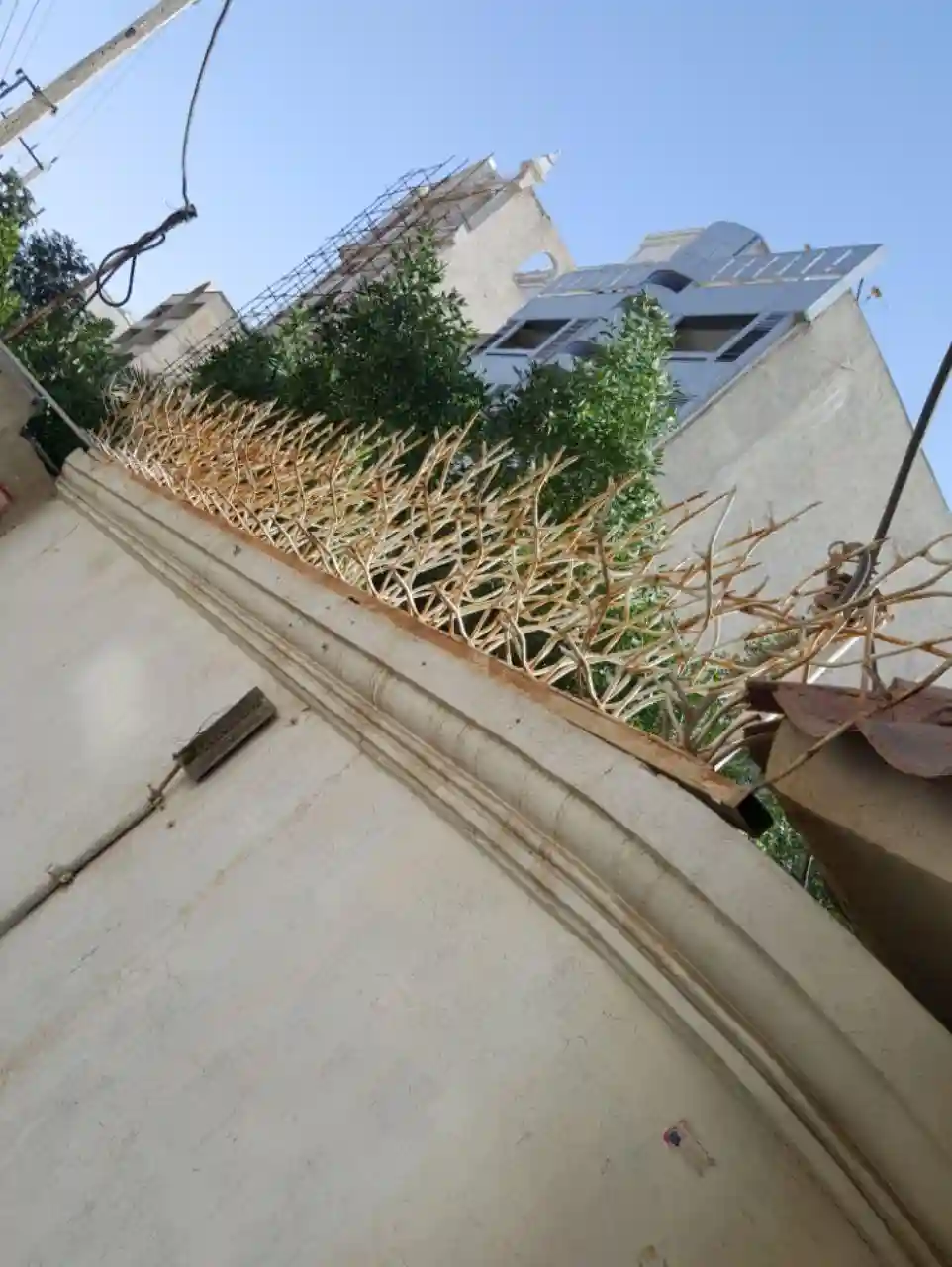 نصب حفاظ شاخ گوزنی نصب حفاظ شاخ گوزنی