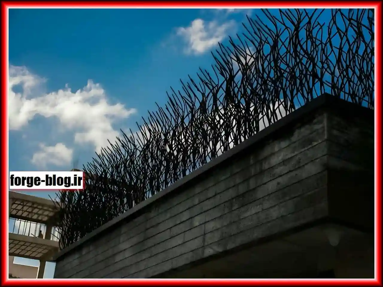 حفاظ شاخ گوزنی حفاظ شاخ گوزنی