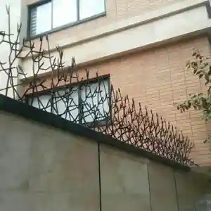 حفاظ اف آبشاری