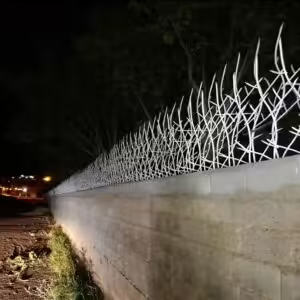 حفاظ بوته ای تراکم 67