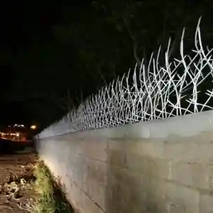 حفاظ بوته ای تراکم 67