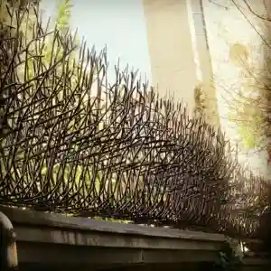 حفاظ بوته ای تراکم 88