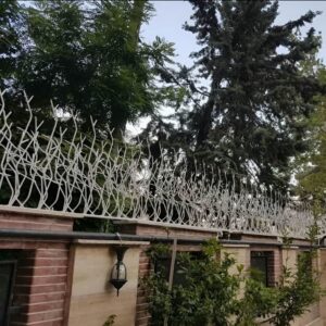 حفاظ شاخ گوزنی تراکم 31