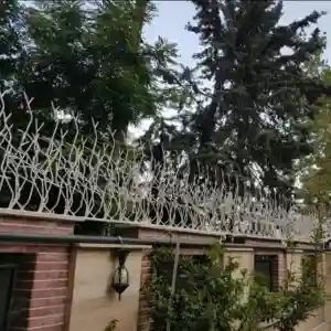 حفاظ شاخ گوزنی تراکم 31