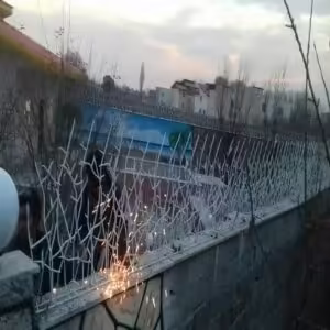 حفاظ شاخ گوزنی تراکم 40