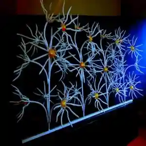 حفاظ گل آفتابگردان