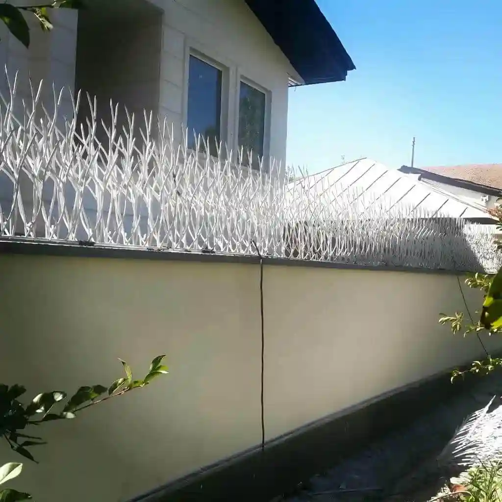 طرح های حفاظ شاخ گوزنی دیوار