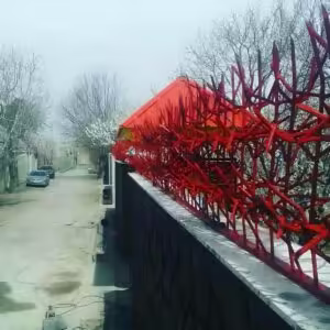 حفاظ شاخ کوزنی چیست