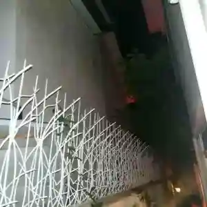 کاربرد حفاظ شاخ گوزنی