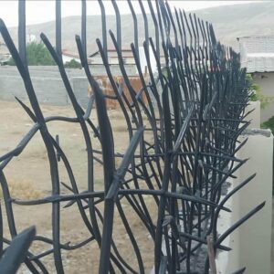 انواع حفاظ شاخ گوزنی