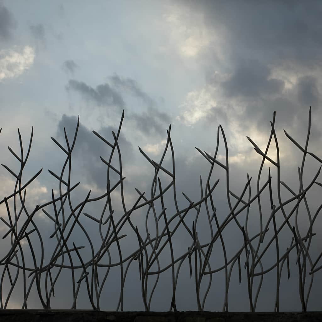 حفاظ شاخ گوزنی تراکم 22 اقتصادی ویلا