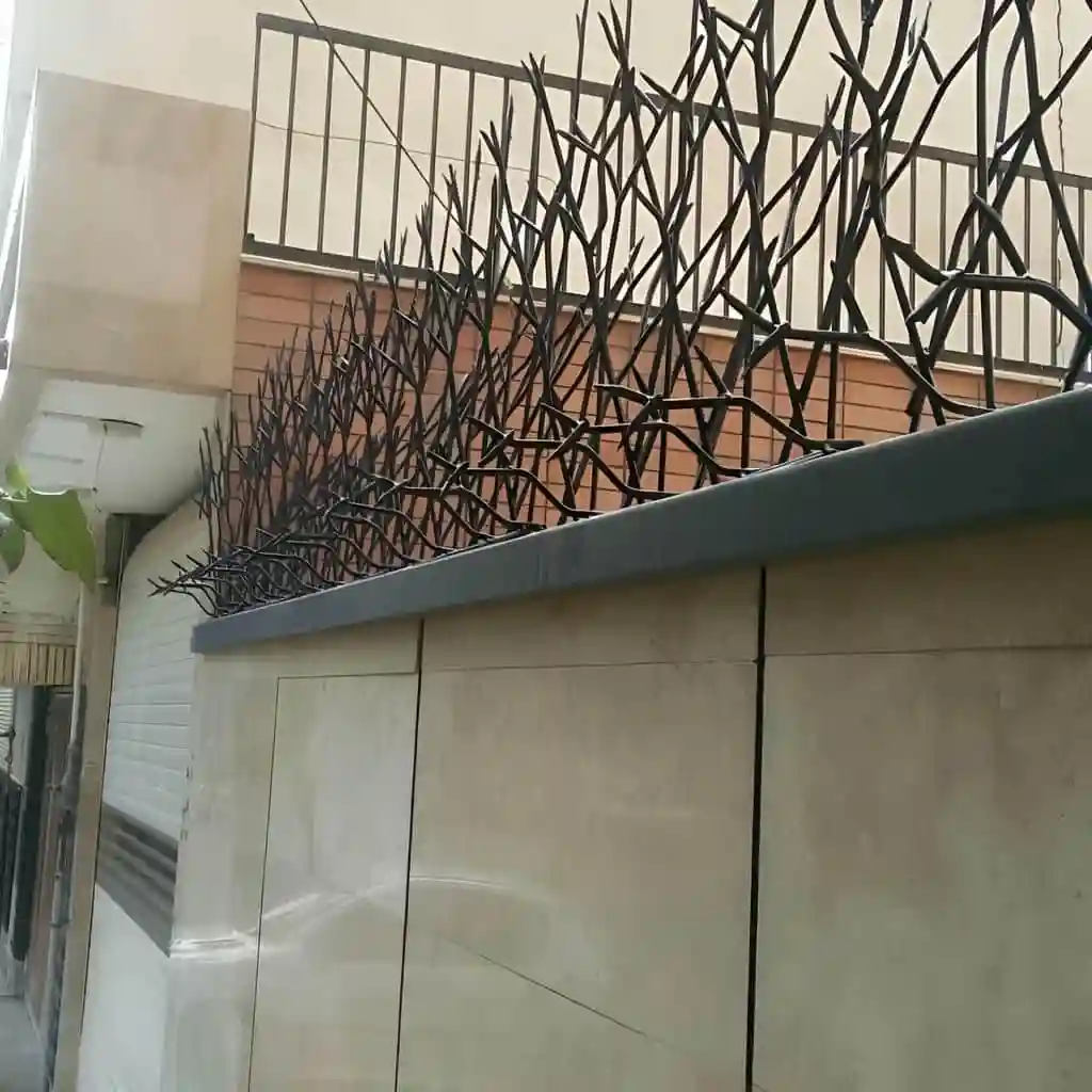 حفاظ شاخ گوزنی تراکم 34 ویلا