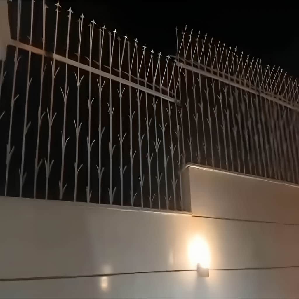 نصب حفاظ شمشادی