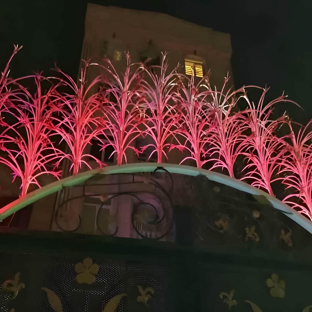 قیمت حفاظ لیلیوم