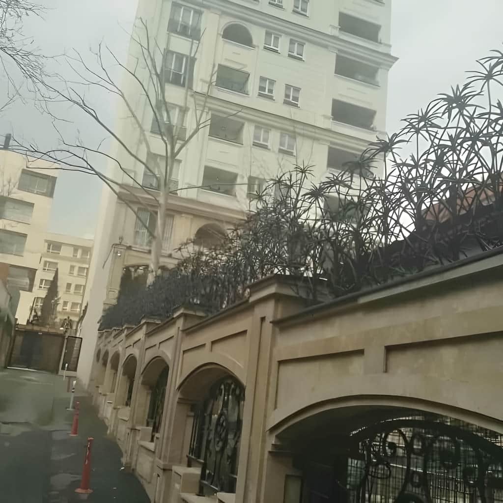 نصب حفاظ نخل مرداب