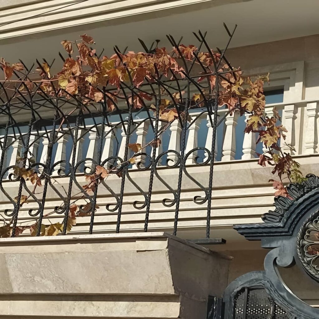 حفاظ شاخ گوزنی در هشتگرد