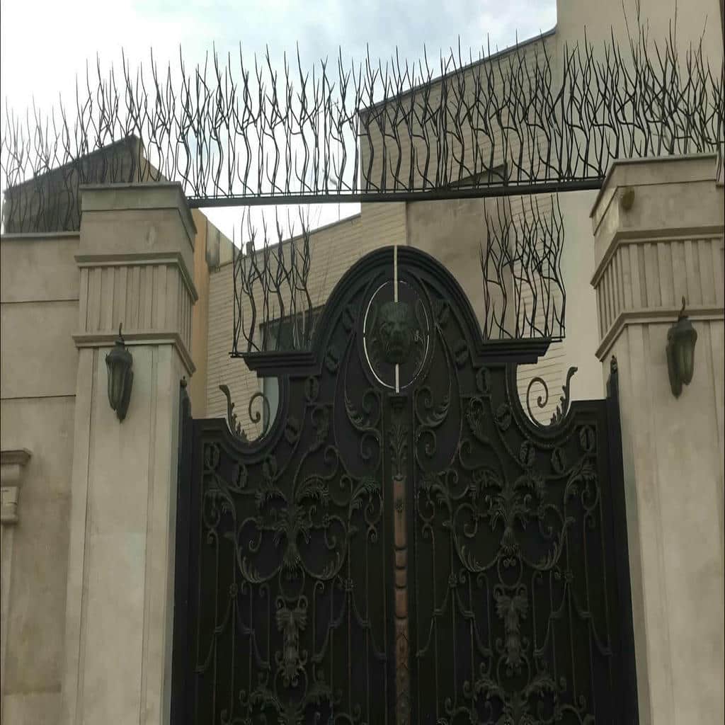 نصب حفاظ شاخ گوزنی دیوار مرطوب در آمل