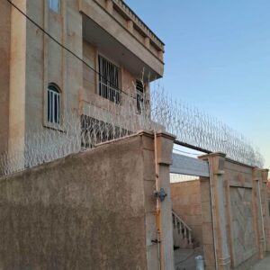 حفاظ شاخ گوزنی در عظیمیه کرج