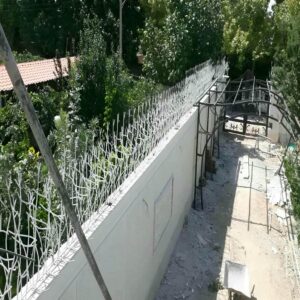 حفاظ شاخ گوزنی در خرم آباد