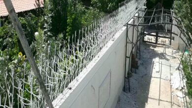 حفاظ شاخ گوزنی در خرم آباد