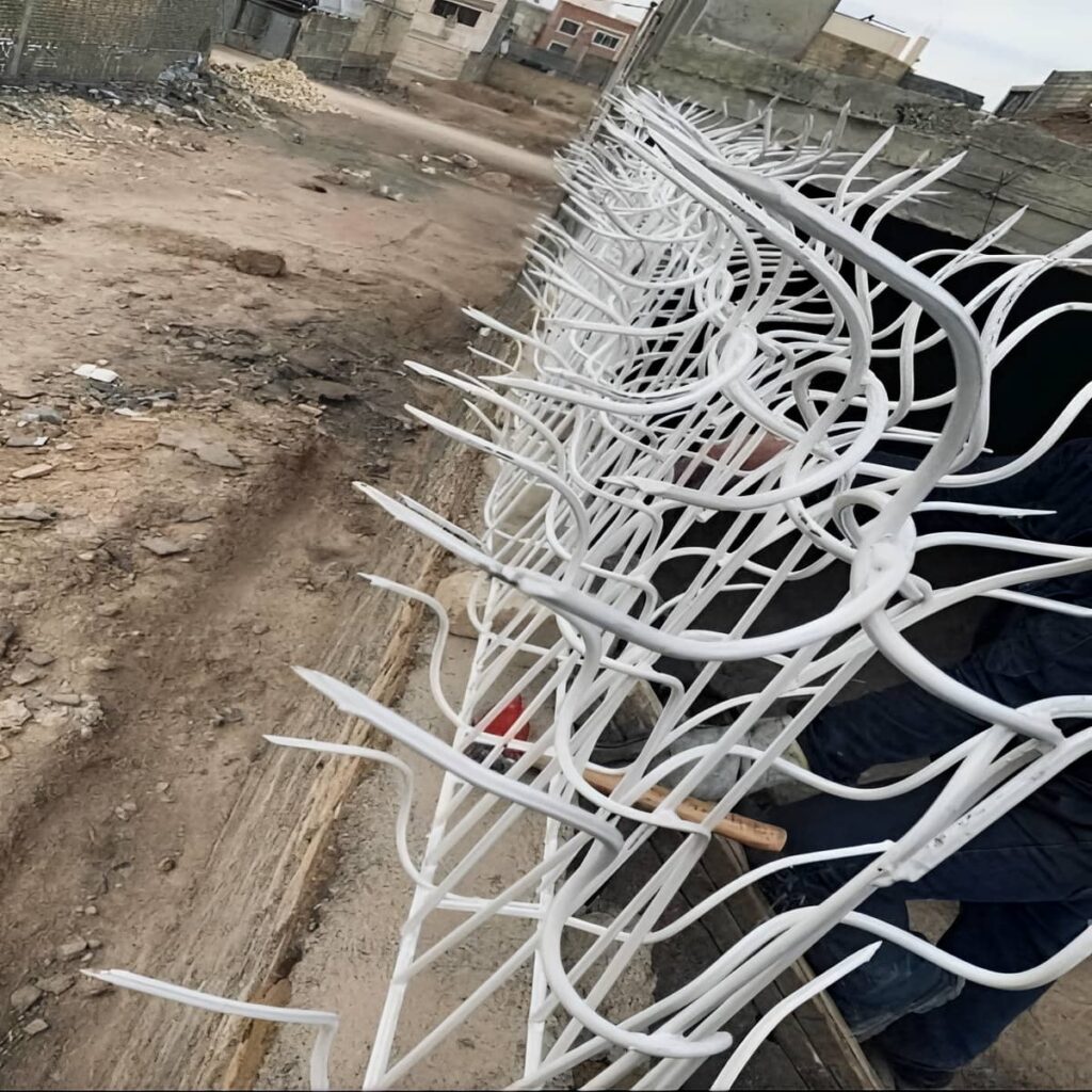 نصب حفاظ شاخ گوزنی دیوار حیاطی در فردیس کرج نصب حفاظ شاخ گوزنی دیوار حیاطی در فردیس کرج