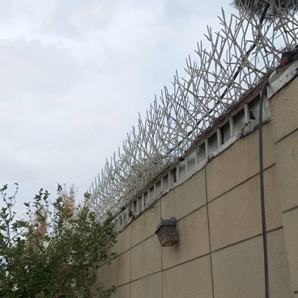 نصب حفاظ شاخ گوزنی دیوار در ساری