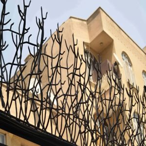 حفاظ شاخ گوزنی در طالقان