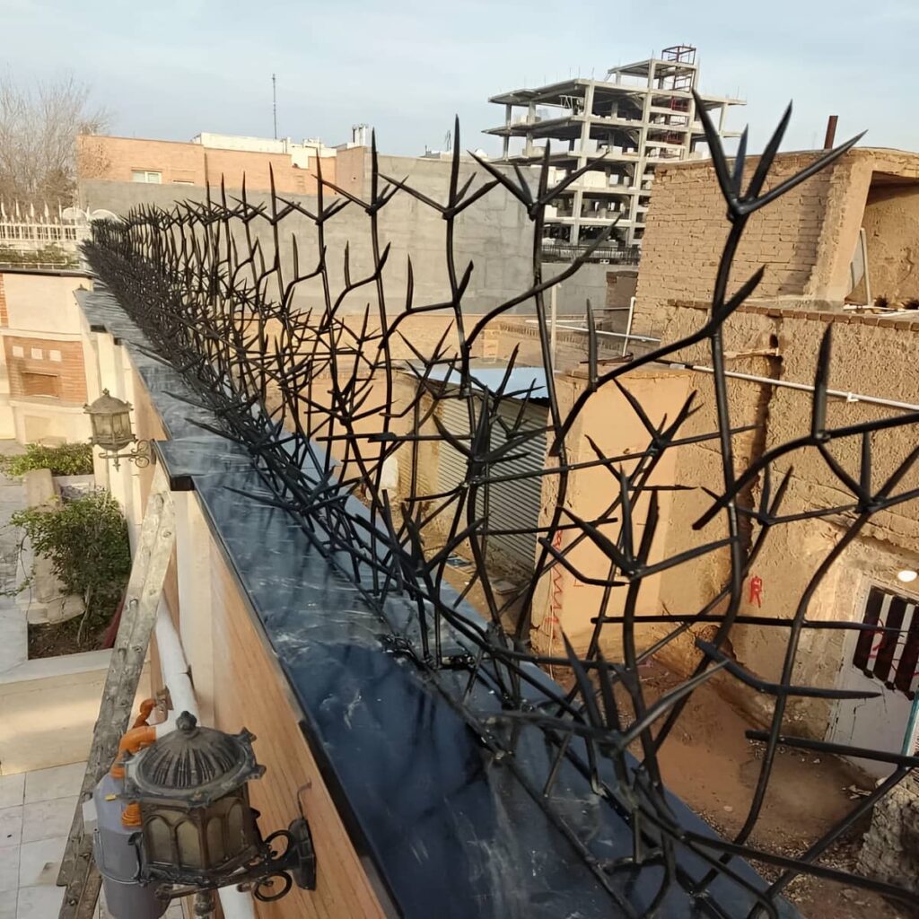 قیمت حفاظ شاخ گوزنی پرتراکم در چالوس