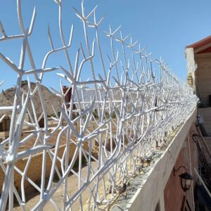 حفاظ شاخ گوزنی در نسیم شهر