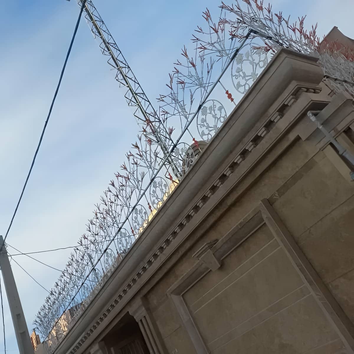حفاظ شاخ گوزنی در اصفهان