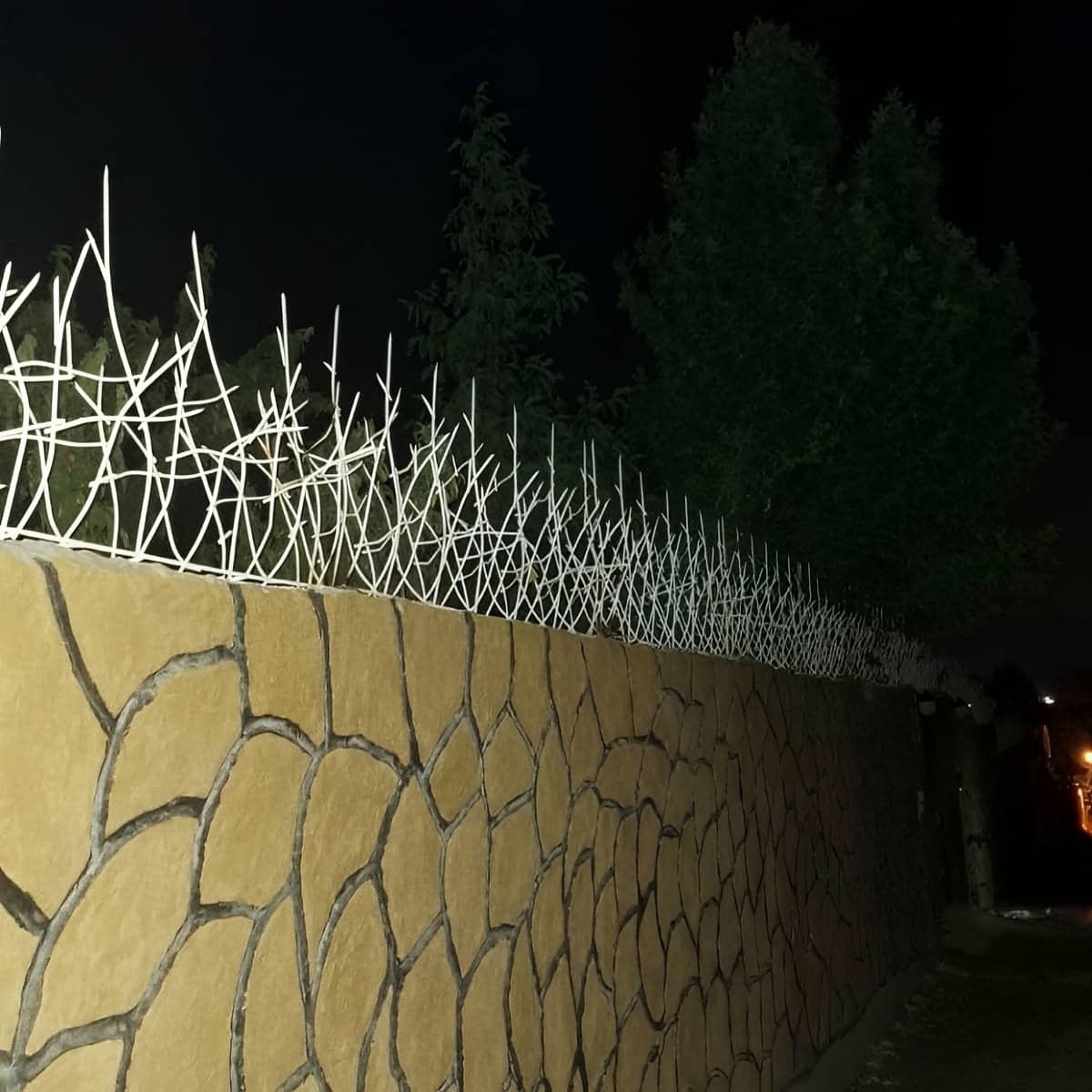 حفاظ شاخ گوزنی در بندر دیلم