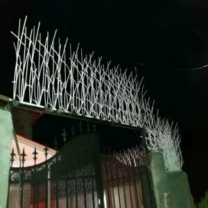 حفاظ شاخ گوزنی در آبسرد