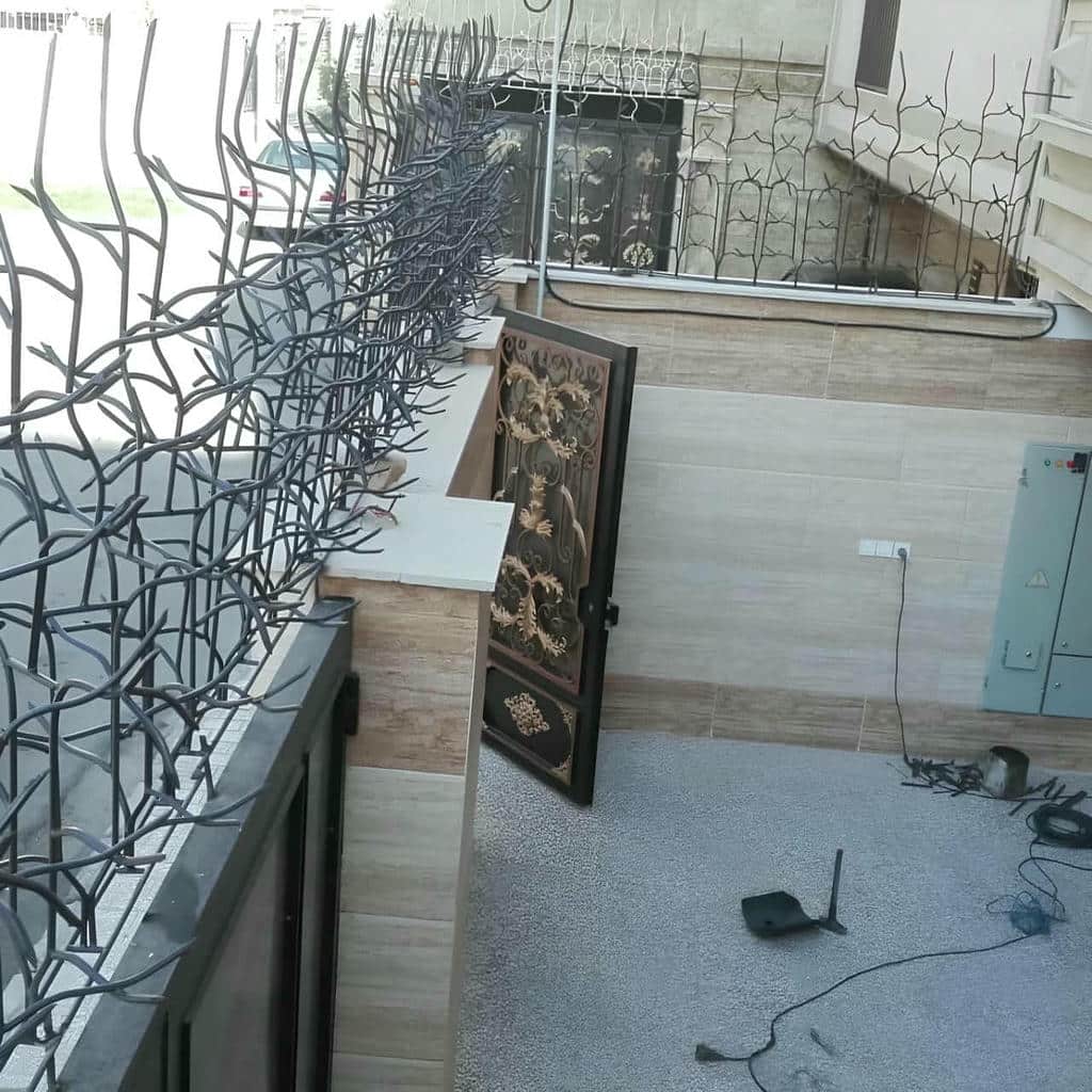 حفاظ شاخ گوزنی در آمل