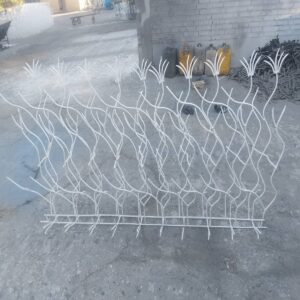 حفاظ شاخ گوزنی در استان گیلان