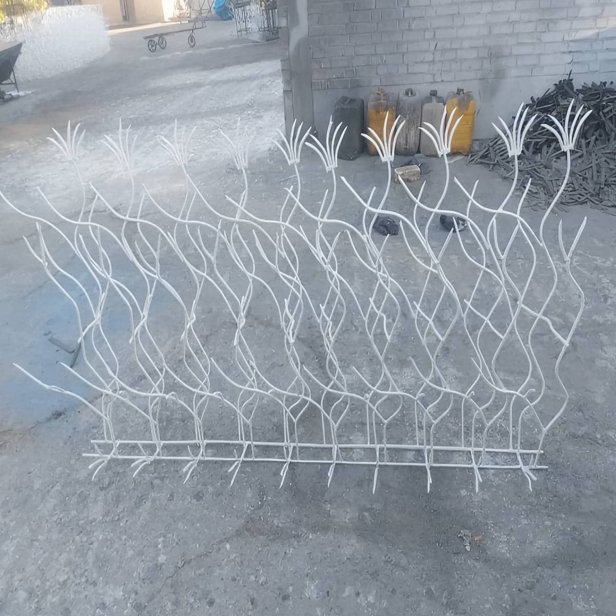 حفاظ شاخ گوزنی در استان گیلان