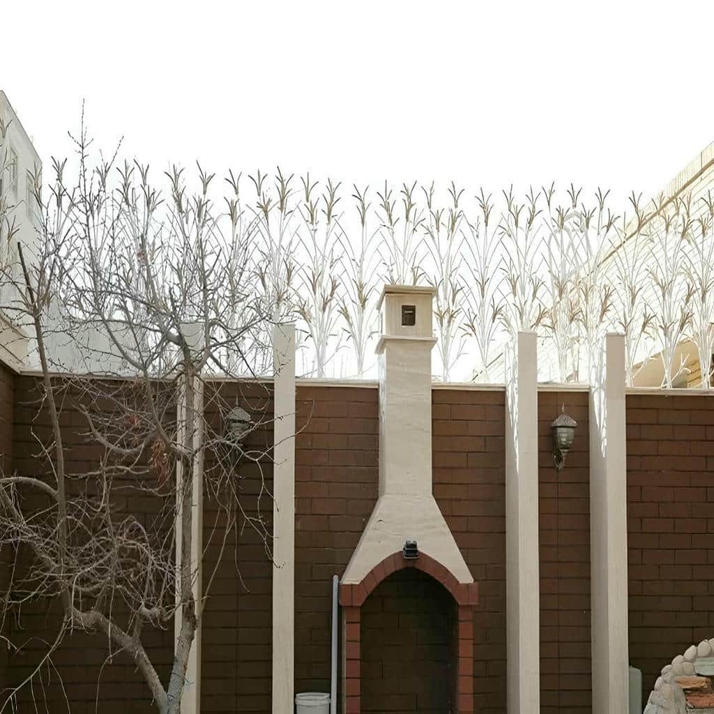 حفاظ شاخ گوزنی در چالوس