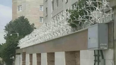 حفاظ شاخ گوزنی در فیروزکوه