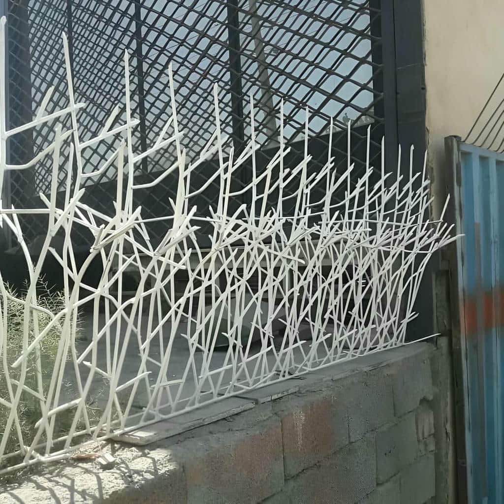 نصب حفاظ شاخ گوزنی دیوار در چالوس