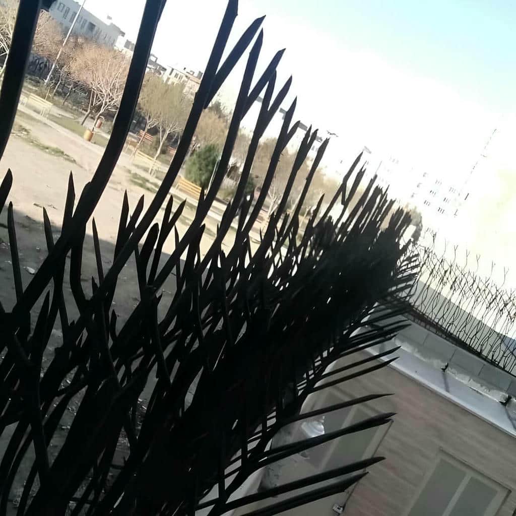 خرید حفاظ شاخ گوزنی شاخه ای در استان مازندران