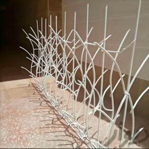 حفاظ شاخ گوزنی در دماوند