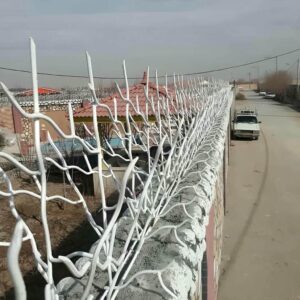 حفاظ شاخ گوزنی در بیرجند