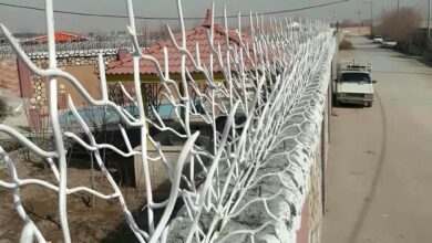 حفاظ شاخ گوزنی در بیرجند