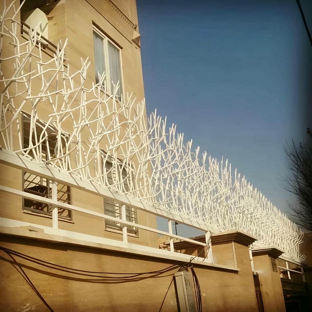 حفاظ شاخ گوزنی در تهران