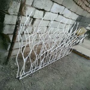 حفاظ شاخ گوزنی در گنبدکاووس