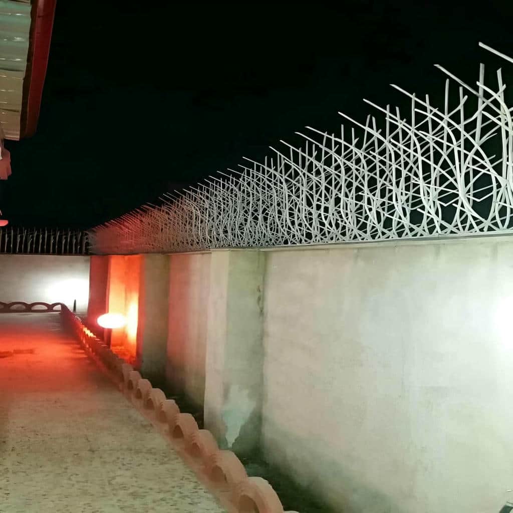 قیمت حفاظ شاخ گوزنی پرتراکم در خرم آباد